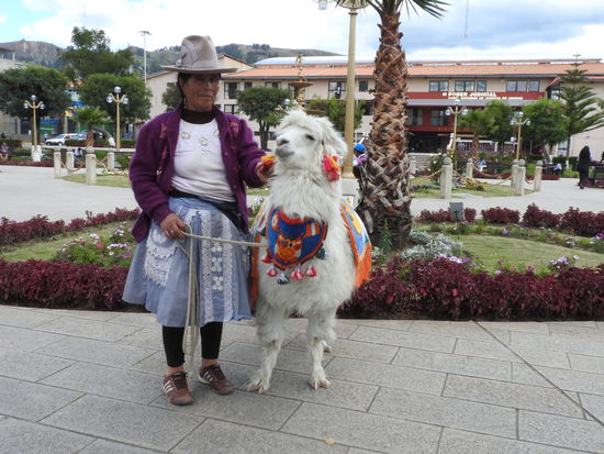 Einkommensquelle für Frauen: Fotomodell mit Lama spielen, für 1- 2 Soles ist das ein guter Nebenjob
