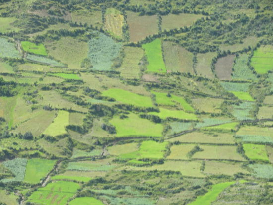 Diese Felder liegen nicht in einer Ebene sondern ziehen sich bis auf 4.000m hoch und wie groß das Gefälle ist seht man am Bild nicht da es von einer Passseite auf die andere fotografiert ist. Jedes bisschen Erde wird ausgenützt und Mais, Getreide, Quinoa und Kartoffeln angebaut. Wie schwer die Arbeit der Andenbauern ist kann man sich nicht wirklich vorstellen.