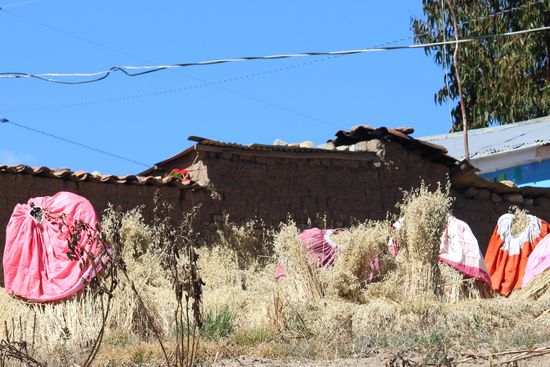 Hier hatte eine Dame Waschtag und ihre Röcke zum trocknen ausgebreitet.