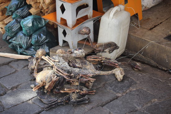 Am Hexenmarkt werden Lamaföten in allen Stadien  und allerlei Kräuter verkauft