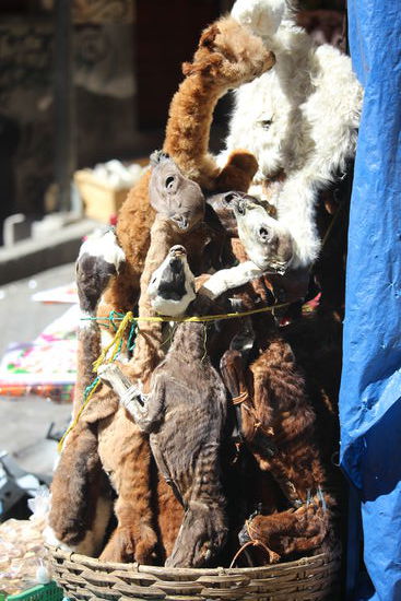 Etwas makaber das ganze und nicht alle Verkäuferinnen wollen dass ihre Ware fotografiert wird. Viele denken ihre Produkte verlieren dadurch an Wirkung