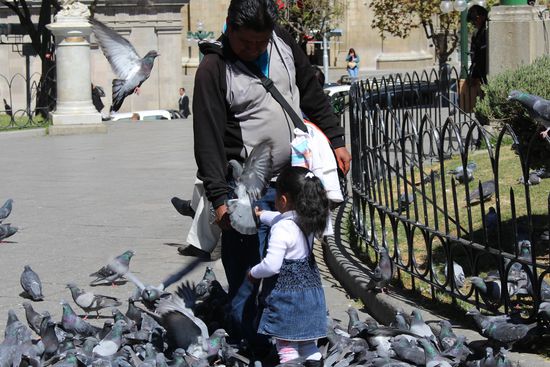 An der Plaza sitzen Verkäuferinnen die für 20Cent Taubenfutter anbieten und  Kinder und Erwachsene gleichermaßen füttern die Tauben hand- und kopfzahm. Es gibt einige Hundert von ihnen und wenn sie etwas hochschreckt erinnert es an Hitchcock´s Vögel. Da zieht man den Kopf ein und ist froh wenn man ohne weiße Flecken vom Platz kommt.