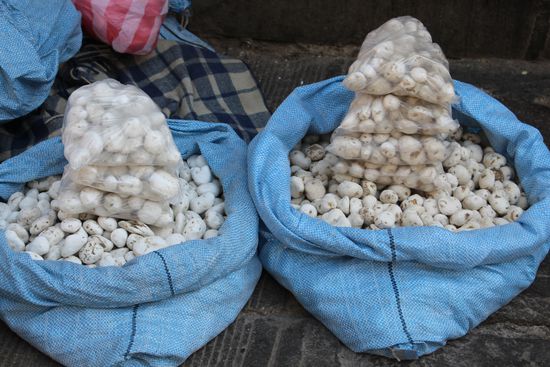 Chuno - Weiße Kartoffeln, sie werden auf über 4.000 m ausgelegt, von den dort herrschenden Minusgraden praktisch  gefriergetrocknet und sind damit fast 20 Jahre haltbar. Vor dem kochen müssen sie 3 bis 4 Stunden eingeweicht werden.