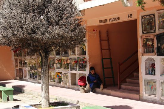 Eine Jugendliche wartet auf Kundschaft, für 50 Cent putzt sie die Scheiben, wechselt Blumen aus oder füllt   Wasser ein. Viele Kinder und Jugendliche müssen arbeiten um zum Lebensunterhalt der Familien beizutragen.
