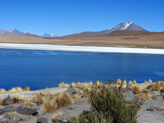 Laguna Canapa - ein tiefes Azurblau in mitten von steiniger und trockener Wüste. Borax setzt sich weiß am Rande des Sees ab. Die Farbe des Sees ist immer abhängig von den Mineralien die durch die Vulkane eingespeist werden. Der See ist für Menschen giftig und das Wasser so nicht nutzbar.
