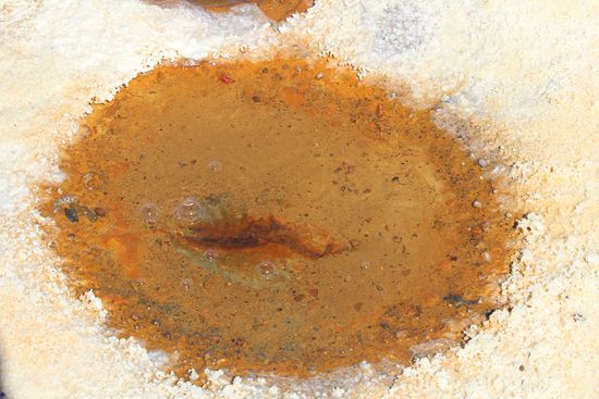 Ein Salzauge. hier sprudelt frisches extrem salzhaltiges kaltes  Wasser von den umgebenden Vulkanen in den Salar