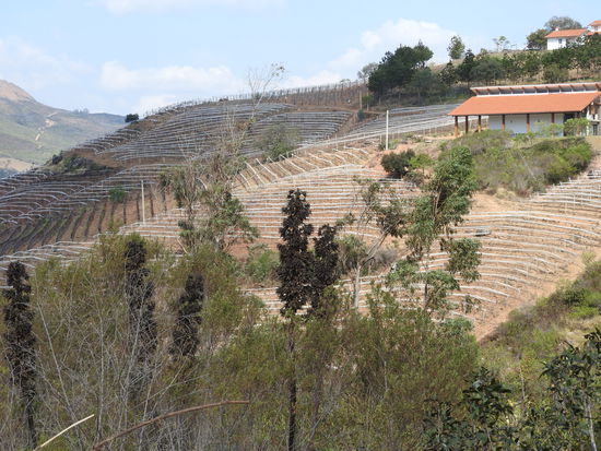In dem Tal gibt es viel Weinanbau, in den Steillagen und bei der Trockenheit nicht einfach zu händeln. Dieses Jahr hat die Trockenzeit 6 Wochen früher eingesetzt und die Bauern klagen über große Ernteausfälle, die Kartoffeln zum Beispiel bleiben ganz klein.