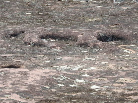Der Puma ist auch nach 1700 Jahren noch erkennbar
