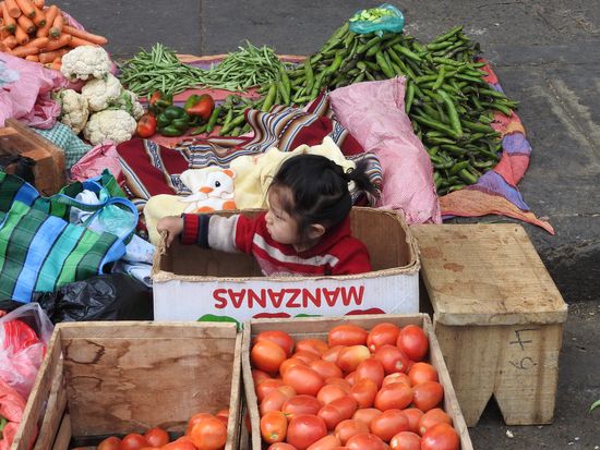 Kinder sind immer mit dabei, die Kleine saß brav in ihrer Apfelkiste während die Mama Kunden bediente