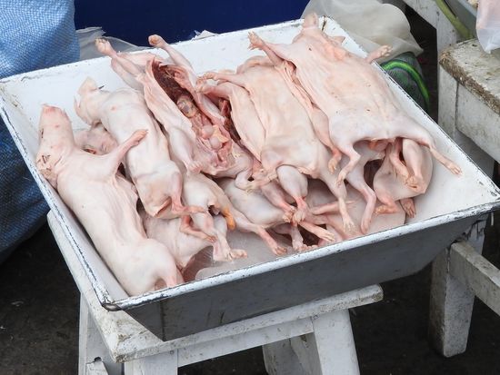Meerschweinchen am Markt vor dem grillen und die schaun roh so arm aus wie fertig gegrillt am Teller