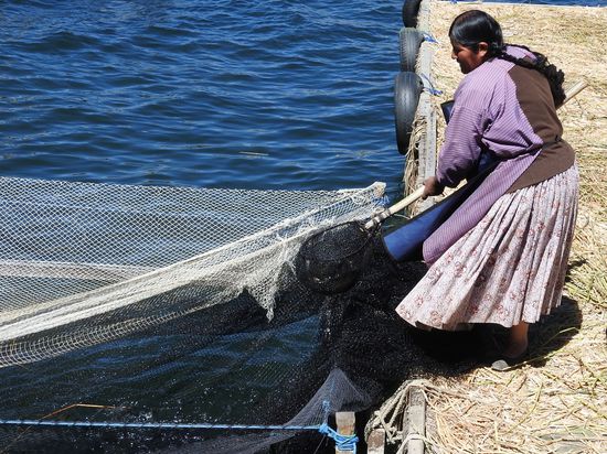 WIr sind am Seeufer entlanggewandert, über einen Steg  auf eine der Inseln gegangen und  haben dort eine frisch gefischte und gebratene Forelle gegessen. Die Eigenvermarktung ihrer Zuchtfische ist neben der Landwirtschaft inzwischen das Haupteinkommen der Aymara.