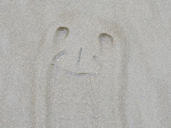 Am Strand sieht man viele solche Muster die an ein Gesicht erinnern.