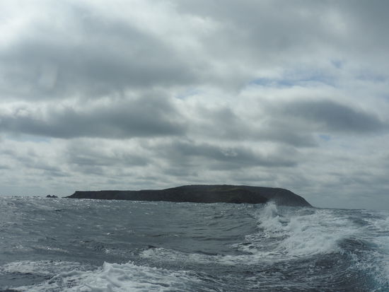 Isla de la Plata bei der Abfahrt.
Der Name Isla de la Plata (Silberinsel) kommt von einem silbrigen Schein den man bei Vollmond sehen kann. Dieser stammt aber nicht von Silbervorkommen oder dem sagenumwobenen Silberschatz den Sir Francis Drake angeblich hier versteckt hat sondern von den weissen Ablagerungen des Vogeldungs, dem Guano.
