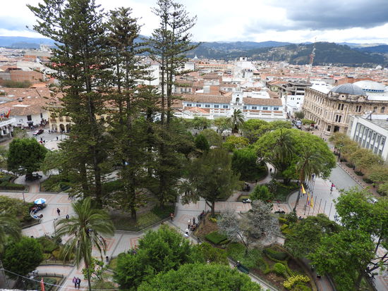 Der Hauptplatz von oben, schöne Bäume schmücken den Platz der umrahmt ist von den Kathedralen und Häusern mit Arkadengängen.
Die hohen Bäume in der Mitte des Platzes sind Araukarien die Dinosaurier unter den Bäumen. So ab dem 100. Lebensjahr fangen sie an die unteren Äste abzuwerfen und eine große Krone auszubilden. Sie können über 1.000 Jahre alt werden und sind durch ihre dicke Rinde fast feuerfest und überleben so auch ´Vulkanausbrüche.