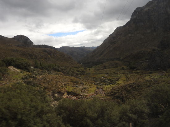 Hier oben leben noch die seltenen und streng geschützten  Bergtapire
