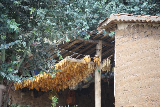 Die Maisernte ist gerade in vollem Gange, in den Bergen liegen überall die Körner zum trocknen oder hängen mit dem Kolben  unter Dächern.