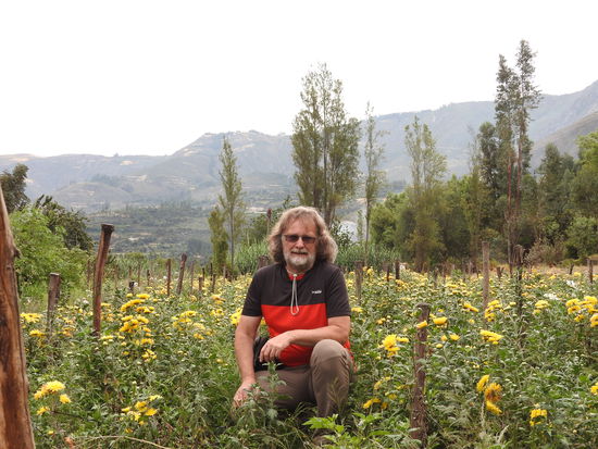 Konrad im Chrysanthemenfeld - wenn ich das nächstemal zuhause Blumen für 2.99 Euro kaufe weiß ich wieviel Mühe darin steckt und wie wenig der Bauer dafür bekommt.
