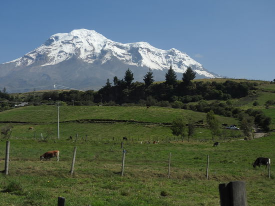 Es  sieht aus wie in den Alpen; grüne leicht buckelige Wiesen, Weidezäune mit Kühen, vereinzelte Bauernhöfe und dahinter ein Berg