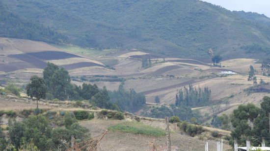 Das Tal von Otavalo ist durch die Ablagerung von viel Vulkanasche sehr fruchtbar und bringt gute Ernten