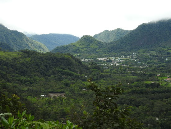 Das kleine Dorf Mindo umgeben von dichtem Bergregenwald