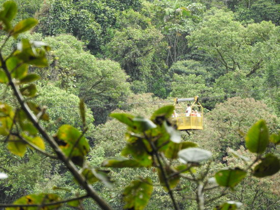 Mit der Tarabita werden die Schluchten überwunden  und es ist toll so über den Baumwipfeln zu schweben