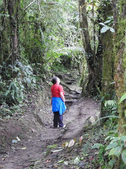 Man hört ständig viele Vogelstimmen aber es ist schwer sie in der Deckung auch zu sehen