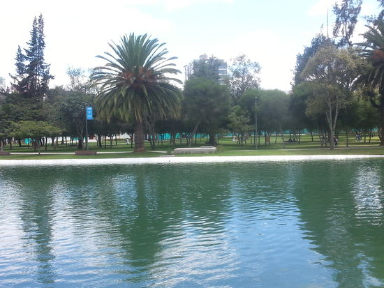 Immer wieder durchziehen Parks die Stadt, hier mit Wasserläufen auf denen man Tretboot fahren kann. Manche mit Skaterbahn, Fitnessgeräten, Spielplätzen und großen Klettergerüsten für Erwachsene.