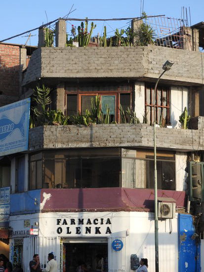 Und immer wieder Pflanzen wo immer es möglich ist und auch hier stehen oben noch Armiereisen raus und der obere Teil ist unverputzt, also istdas alte Haus immer noch eine steuerfreie Baustelle.