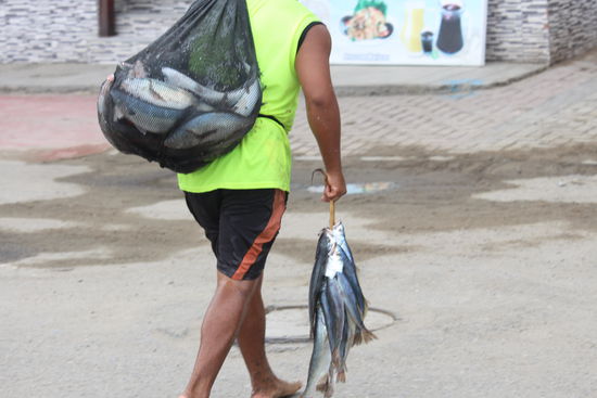 Die Ausbeute kann sich sehen lassen.
