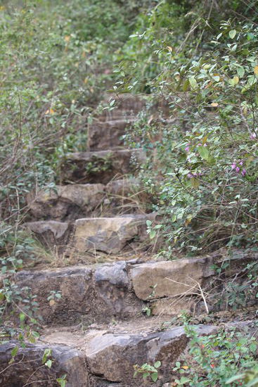 Auf der anderen Flussseite sind wir ein wenig auf dem alten "Camino del Inca" gewandert, der aber  von den Chachapoyas angelegt wurde und die Incas benutzten und bauten ihn nur aus. Er geht über 80 km am Berg entlang und mittendrin liegt "Macro" eine Anlage von Totentürmen  der Wolkenmenschen. Da kuelap  gegenüber oben am Berg liegt konnten auch Feuersignale vom Weg an die Festung übermittelt werden.