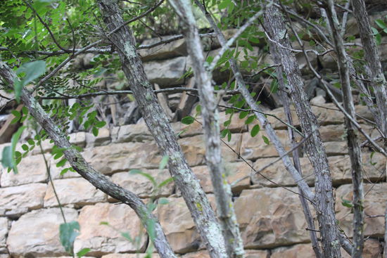 Die Zickzackverzierung symbolisiert die Schlange und war zusammen mit dem Kondor eines der wichtigsten Symbole der Chachapoyas