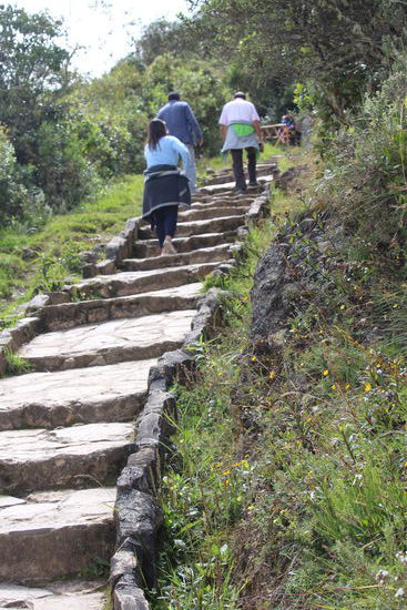Am Ende muss man dann noch etwa 20 Min. hochlaufen, ca 150Hm.