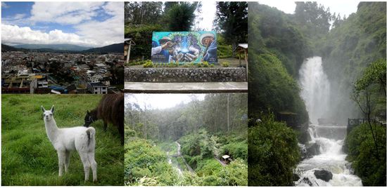 Auf dem Weg: Ein kleiner Aussichtspunkt &amp; die vielleicht letzten Andenkamele der Reise.