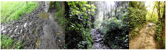 Regen und Erde ergibt?