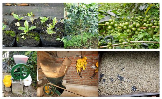 Händisch oder mit Strom betrieben - das Ergebnis ist dasselbe