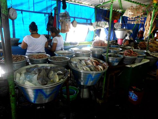 Im Vordergrund ist der Fisch noch frisch, im Hintergrund bereits getrocknet.