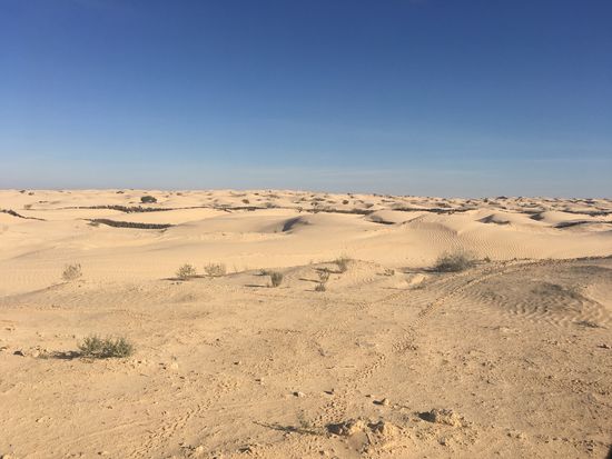 Sahara eben
