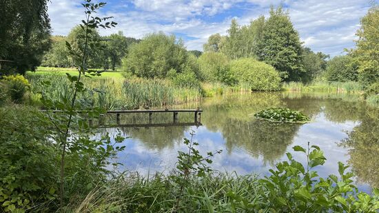 Idylle im Bürgerpark
