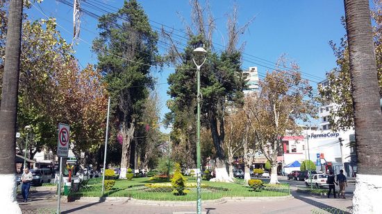 Avenida Jose Ballivian