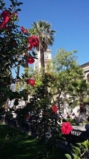 Im Hintergrund die Catedral Metropolitana de San Sebastian
