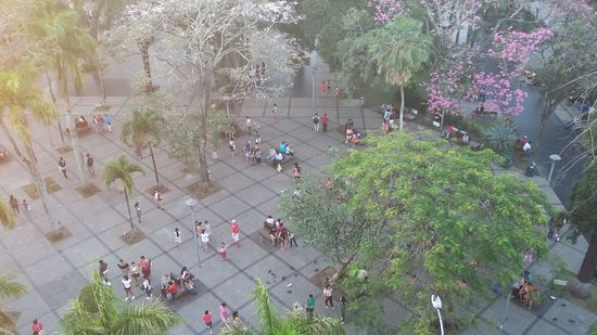 Plaza Principal 24 De Septiembre