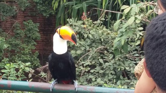 (Leider habe ich meine grosse Kamera – hier schon alleine weges des Schwitzens - gar nicht dabei und kann nur mit dem Handy Fotos machen. )