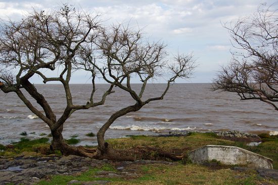 Die Weite des Río de la Plata