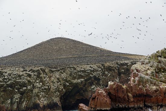 Wir haben alle richtig gestaunt, als wir den Hügel voller Vögel gesehen haben