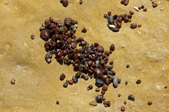 Steinchen der Playa Roja