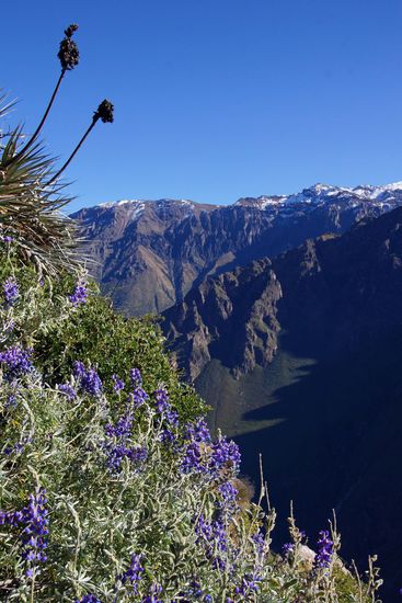 Blick vom Mirador Cruz del Condor