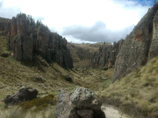 Los paisajes del bosque de las piedras