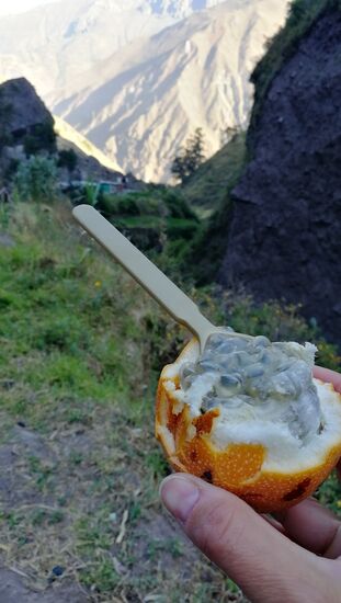 Mein heutiges Frühstück