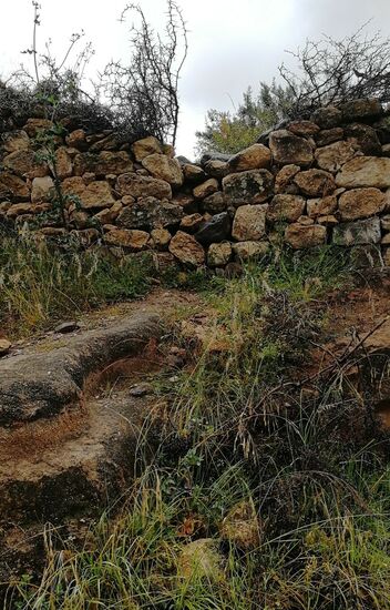 hinter der Mauer des Friedhofs finden wir einen Abstieg