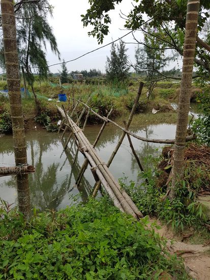 die benötigen keine AdventureParcs wie wir...